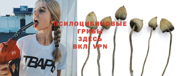 круглые Армянск