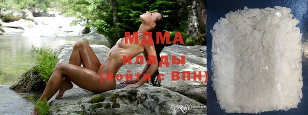 прущие грибы Аркадак